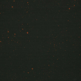 French Terry Thorsten Berger Hamster, *KOMBI*