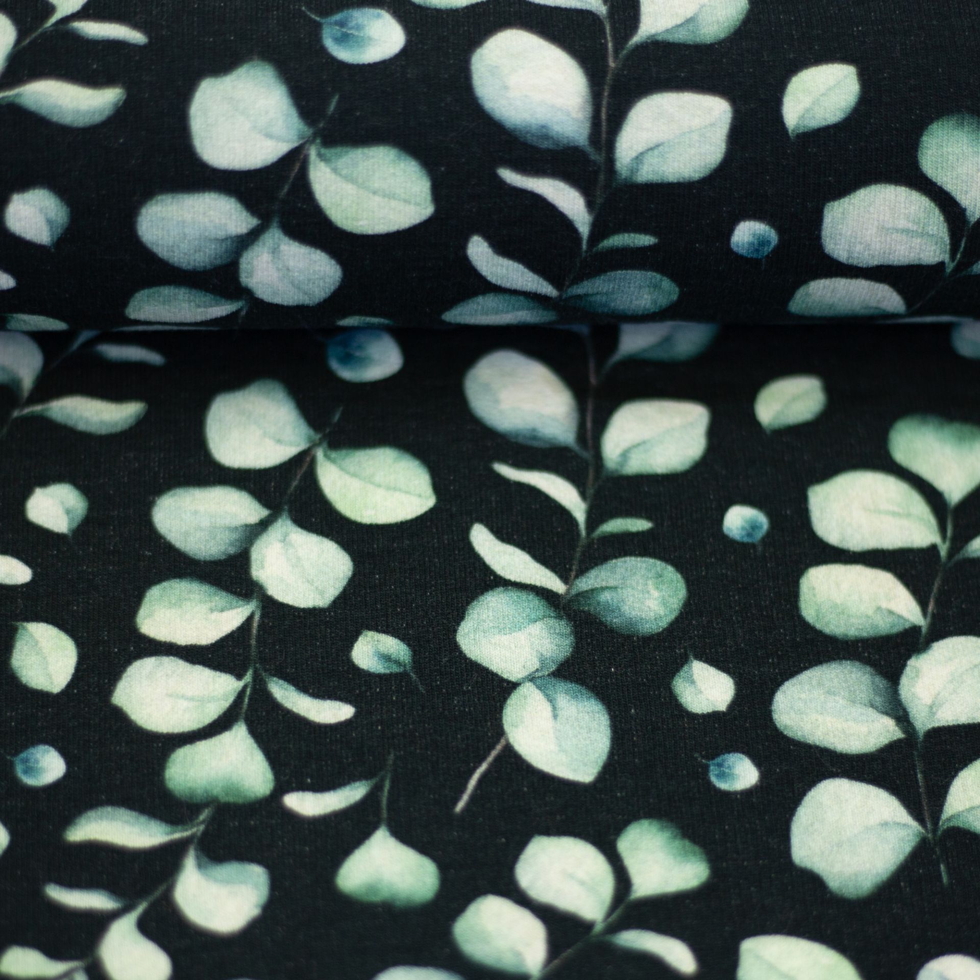 Sweat Eukalyptus – Bild 2