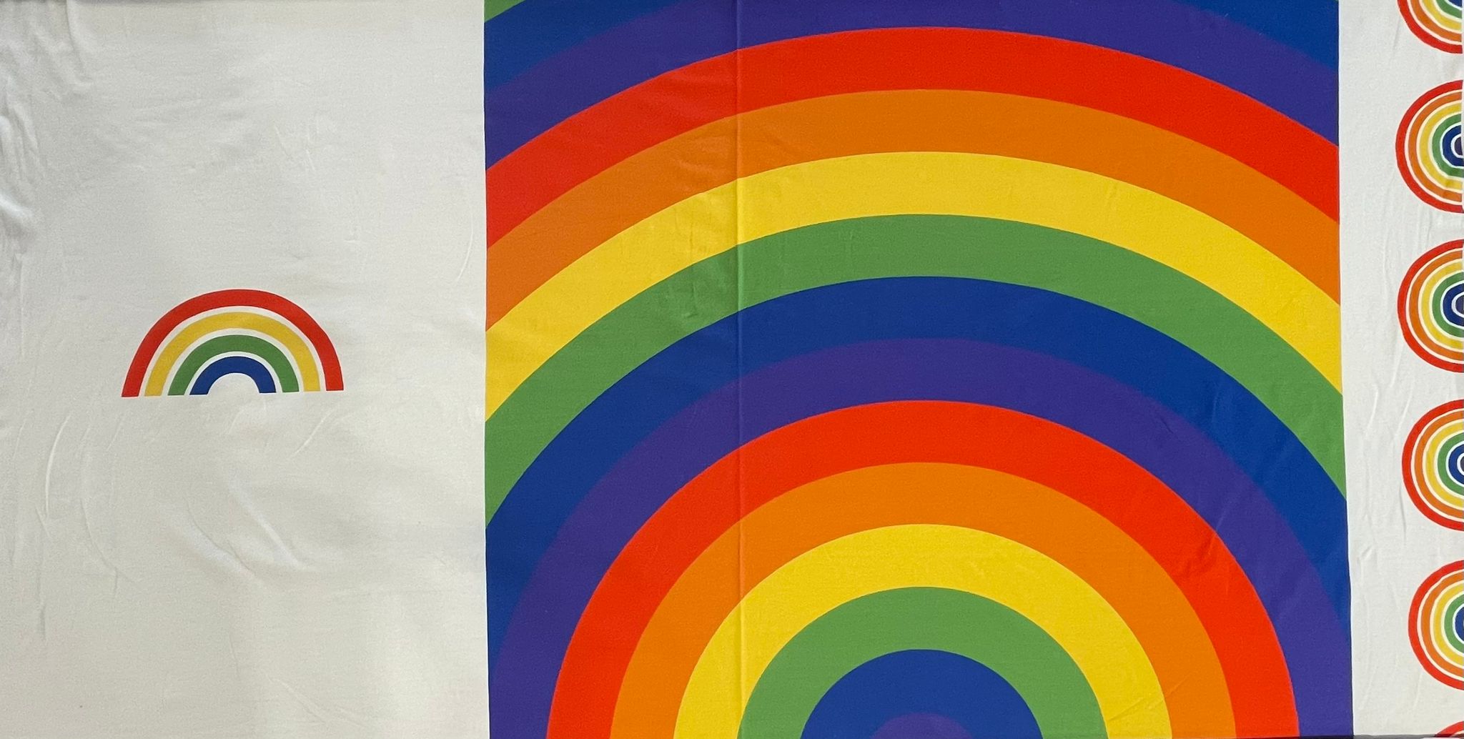 Jersey Regenbogen Panel – Bild 2