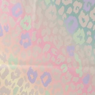 Regenjacken Stoff Leo Pastell Farbverlauf