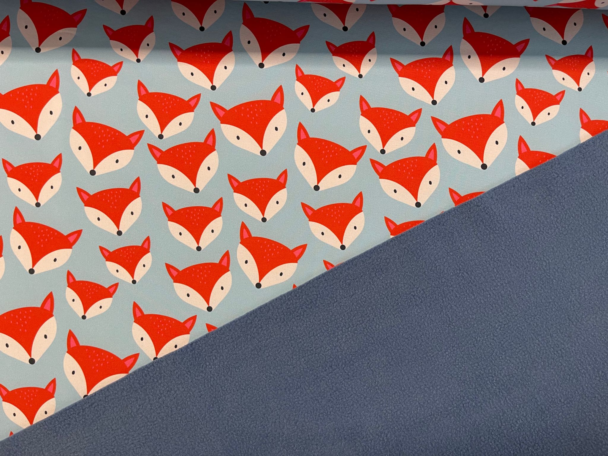 Softshell Füchse – Bild 2