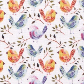 Musselin Vögel Piepsi