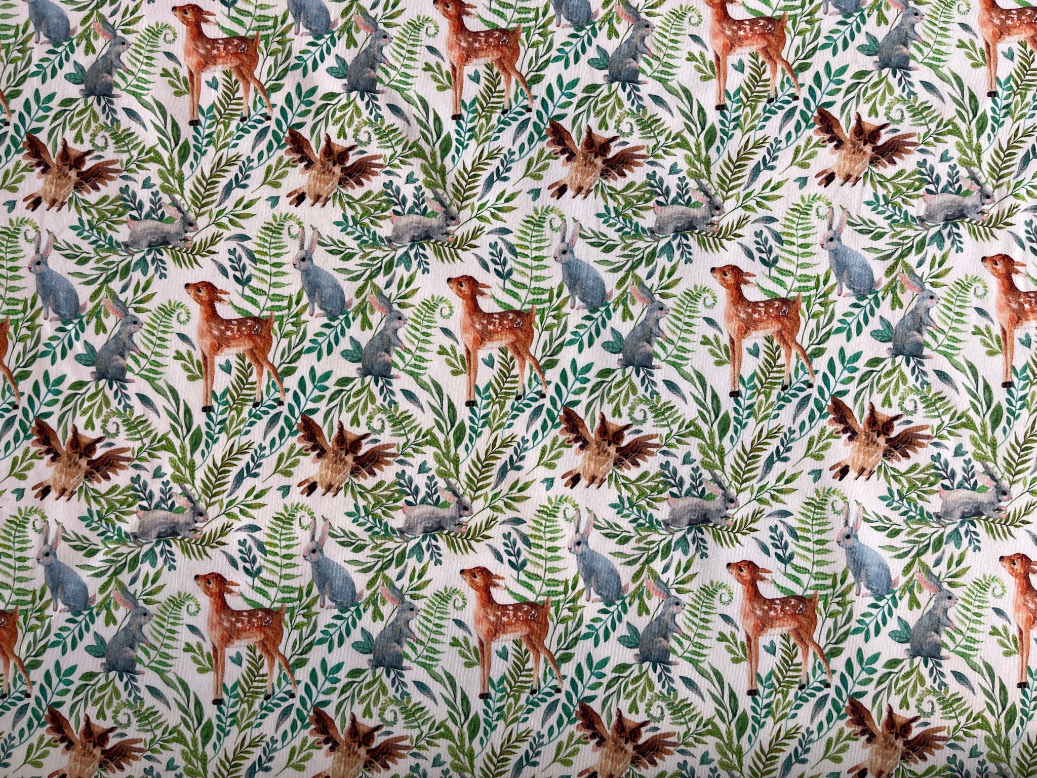 French Terry Waldwiese