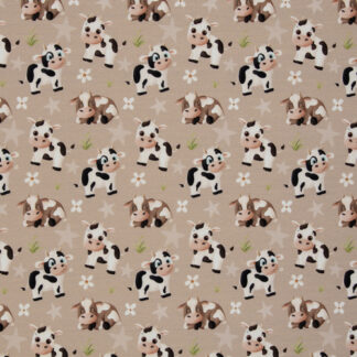 Jersey Landkind Kühe braun